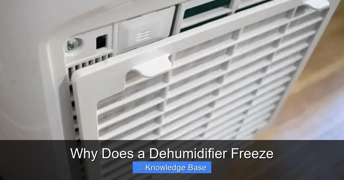 Why Does a Dehumidifier Freeze