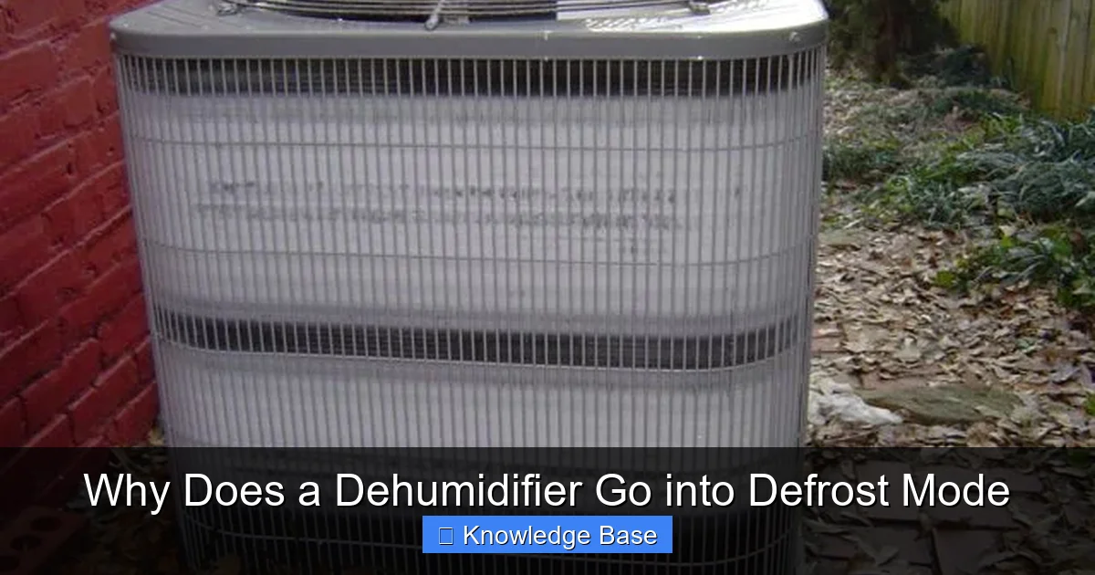 Why Does a Dehumidifier Go into Defrost Mode