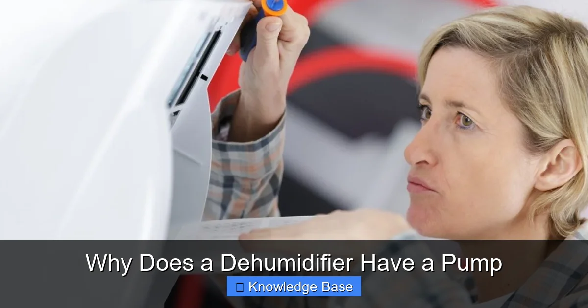 Why Does a Dehumidifier Have a Pump