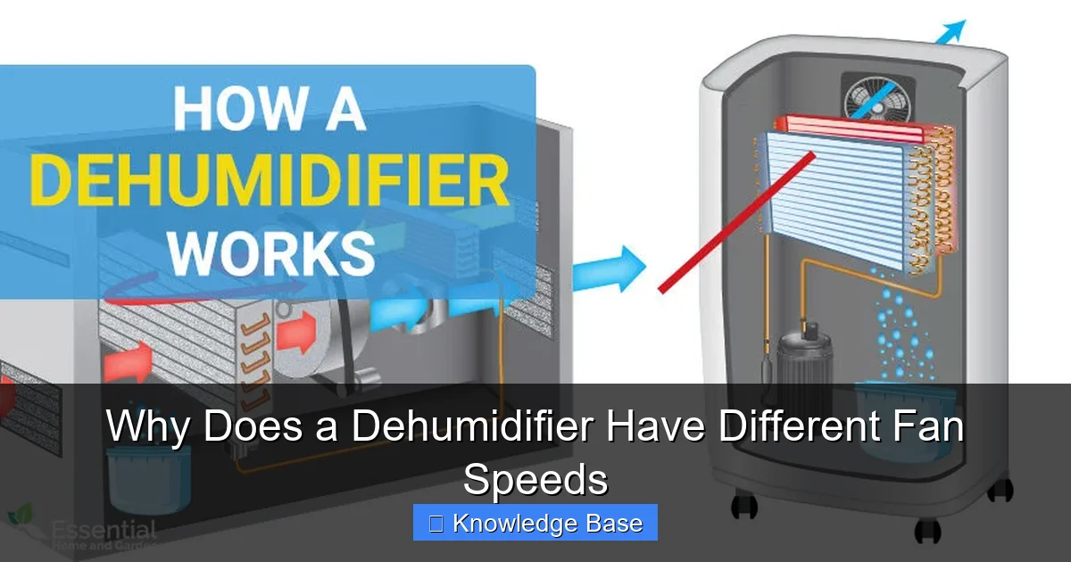 Why Does a Dehumidifier Have Different Fan Speeds