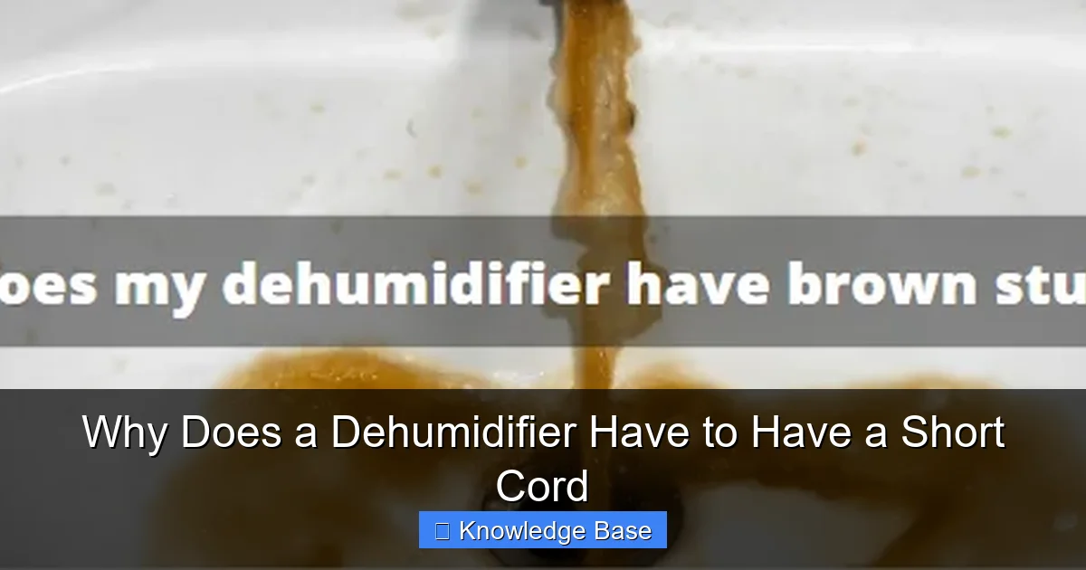 Why Does a Dehumidifier Have to Have a Short Cord