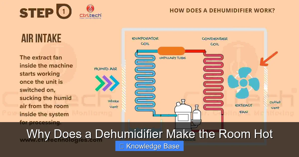Why Does a Dehumidifier Make the Room Hot