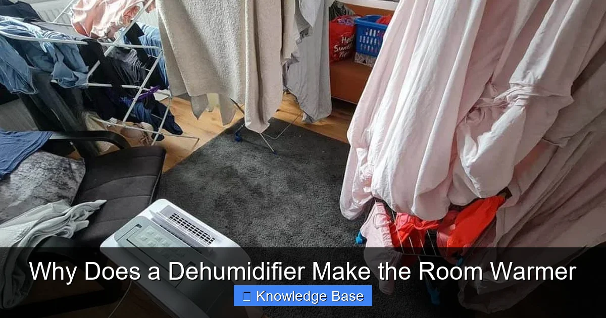 Why Does a Dehumidifier Make the Room Warmer