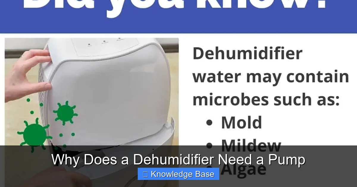 Why Does a Dehumidifier Need a Pump