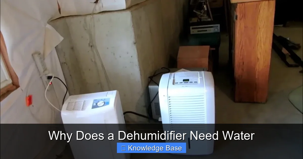 Why Does a Dehumidifier Need Water
