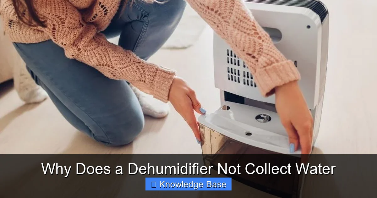 Why Does a Dehumidifier Not Collect Water