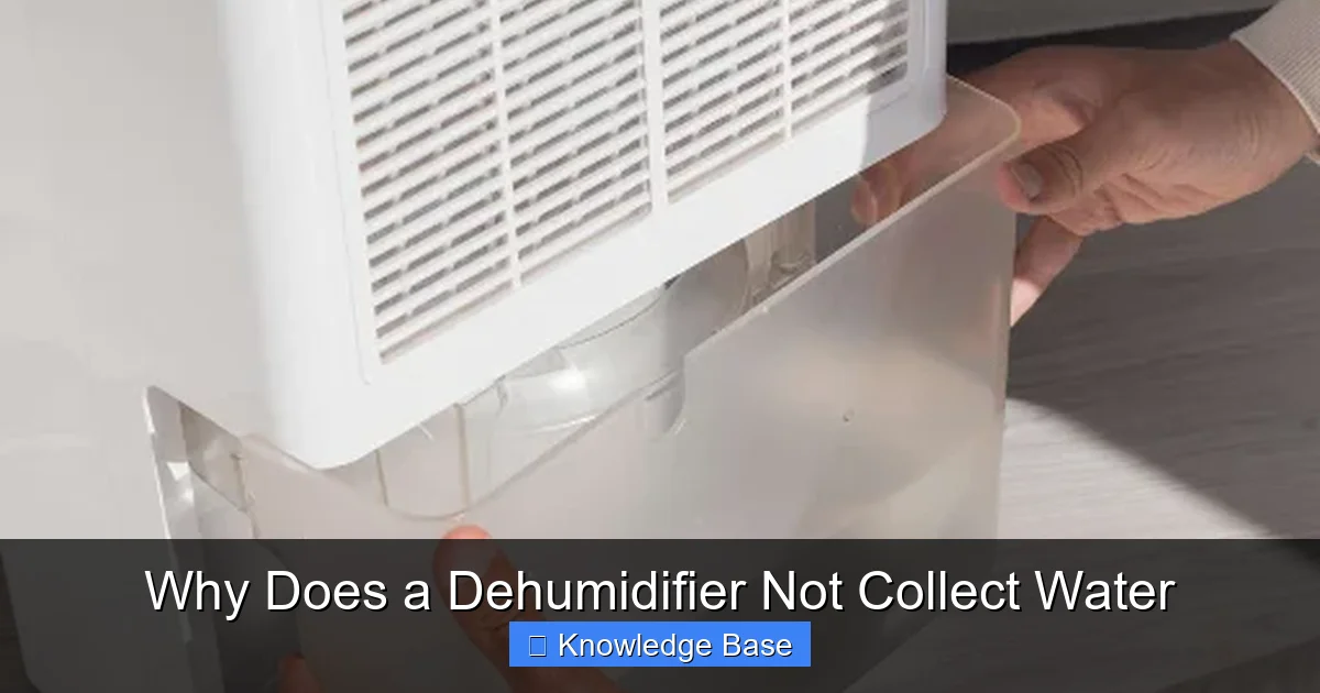 Why Does a Dehumidifier Not Collect Water