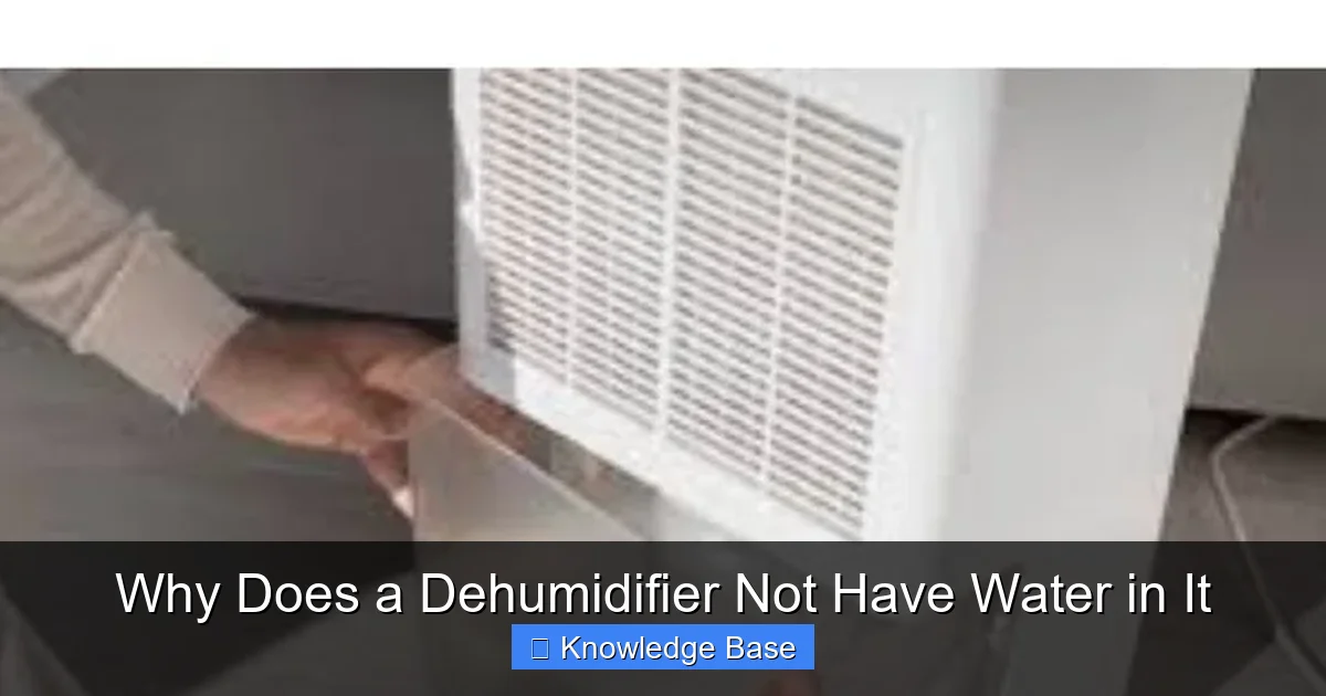Why Does a Dehumidifier Not Have Water in It