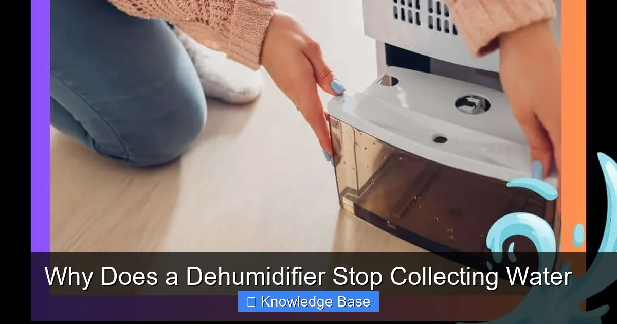 Why Does a Dehumidifier Stop Collecting Water