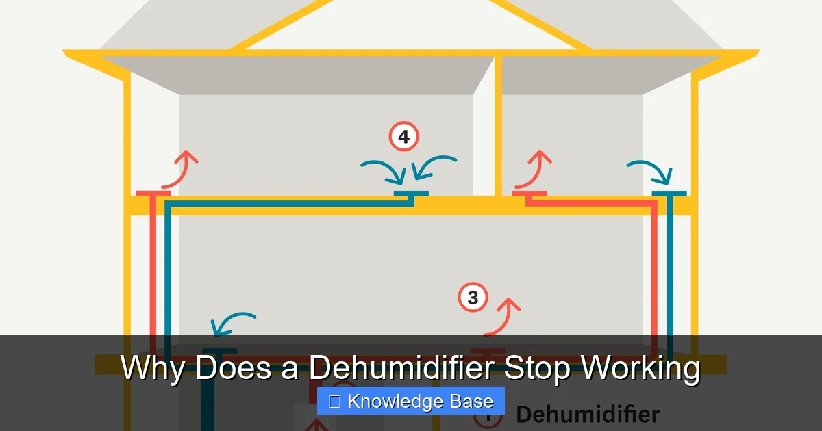 Why Does a Dehumidifier Stop Working