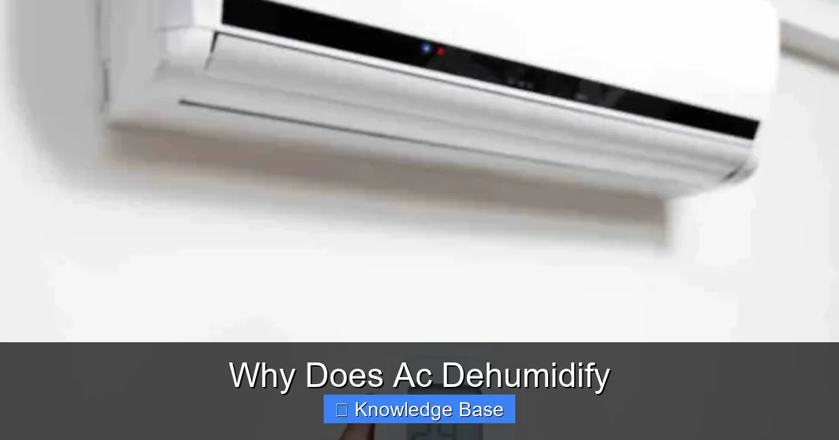 Why Does Ac Dehumidify