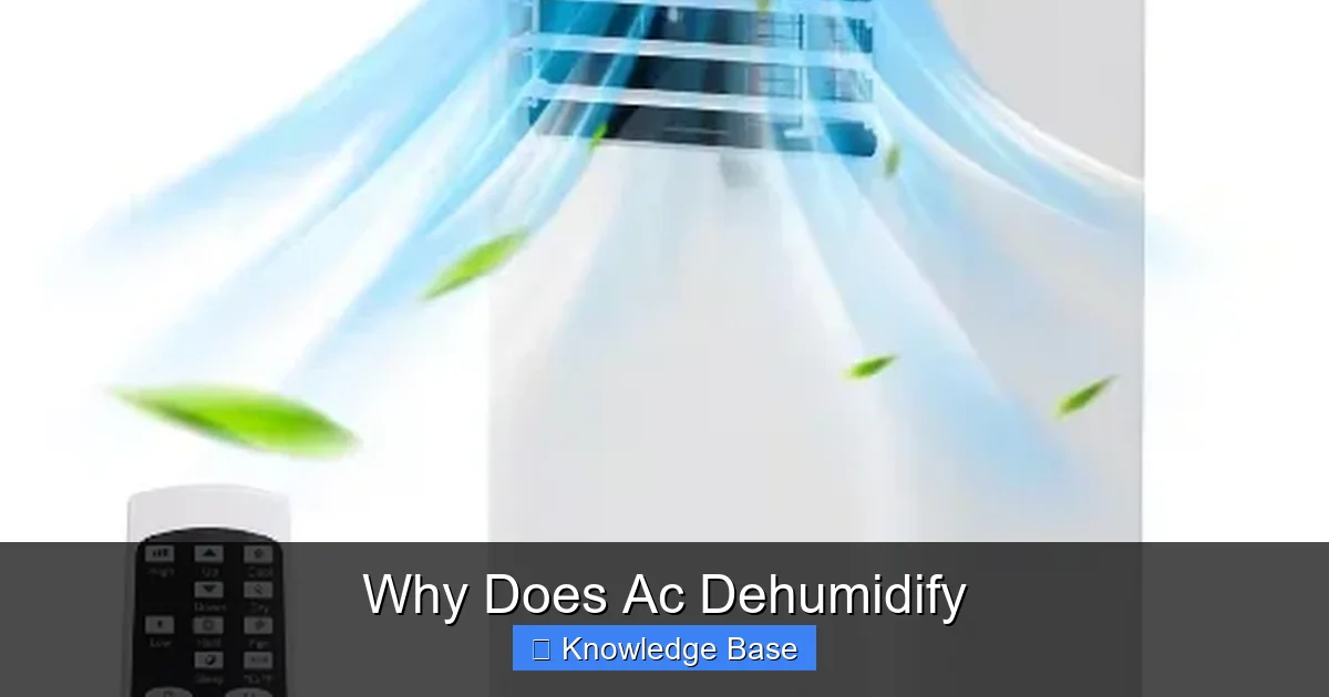 Why Does Ac Dehumidify