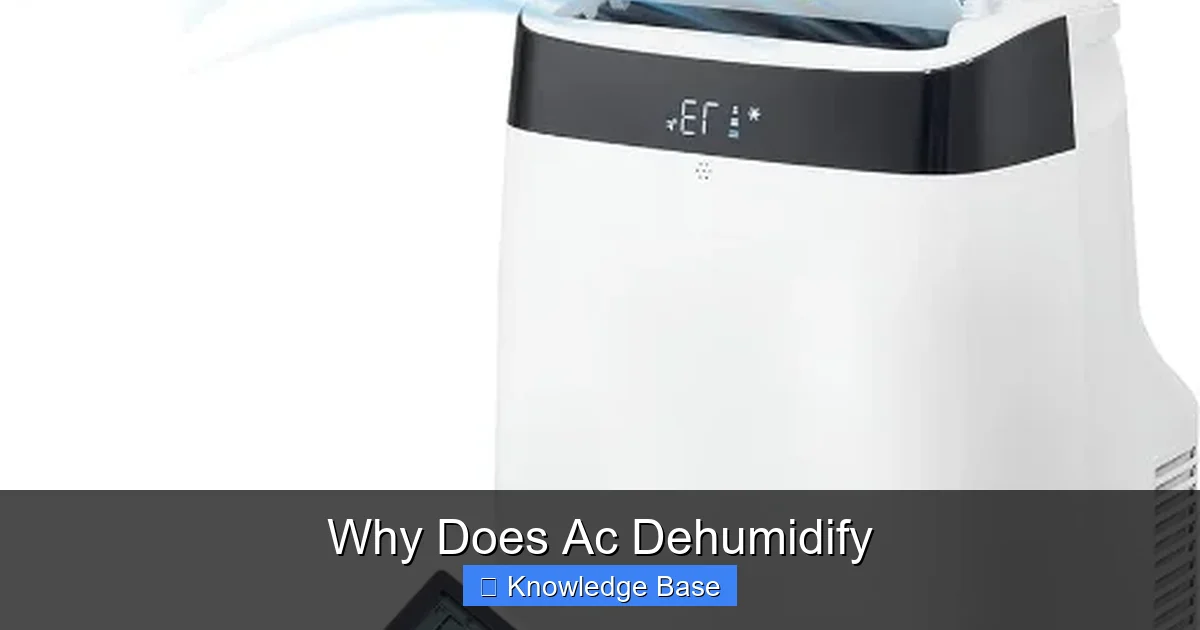 Why Does Ac Dehumidify