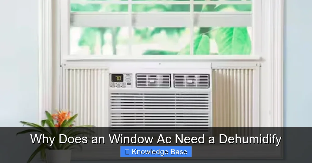 Why Does an Window Ac Need a Dehumidify