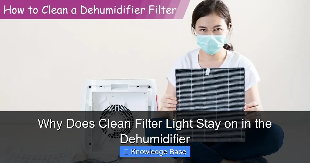 Why Does Clean Filter Light Stay on in the Dehumidifier