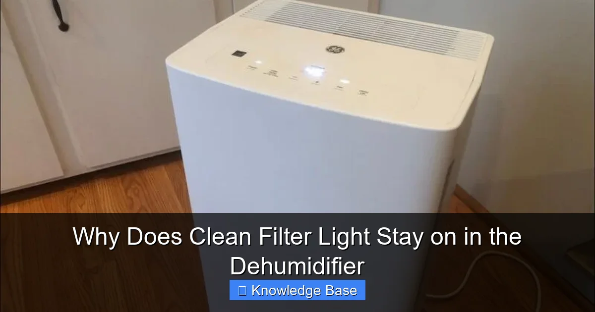 Why Does Clean Filter Light Stay on in the Dehumidifier