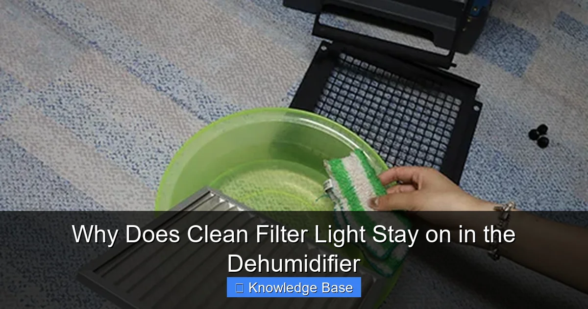 Why Does Clean Filter Light Stay on in the Dehumidifier
