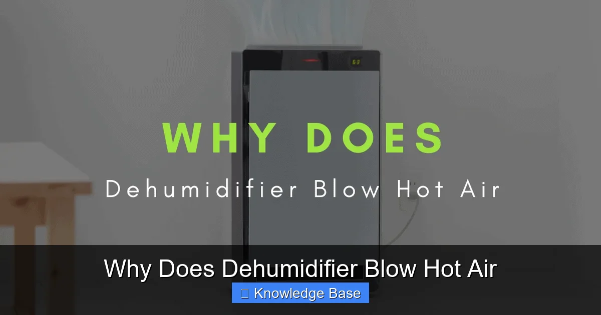 Why Does Dehumidifier Blow Hot Air