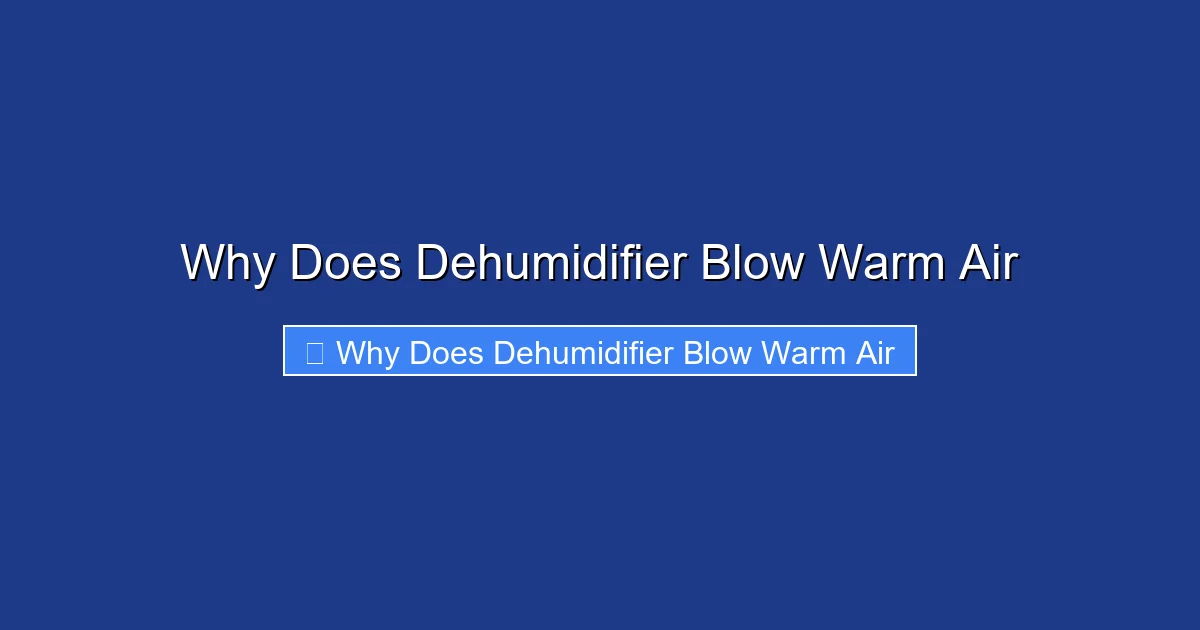Why Does Dehumidifier Blow Warm Air