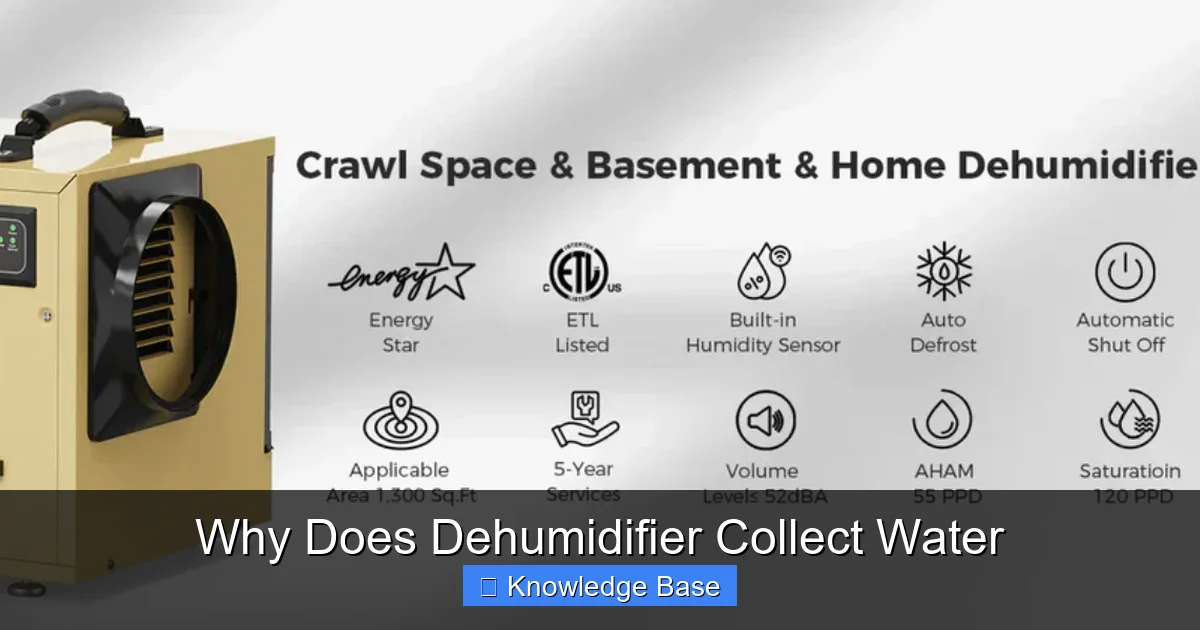 Why Does Dehumidifier Collect Water