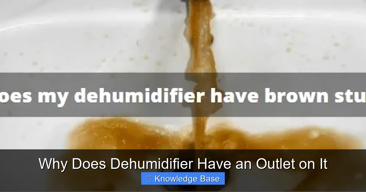 Why Does Dehumidifier Have an Outlet on It