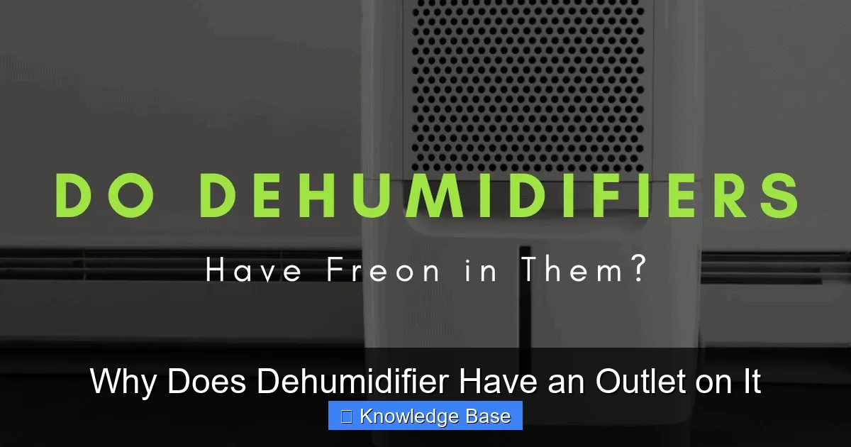 Why Does Dehumidifier Have an Outlet on It