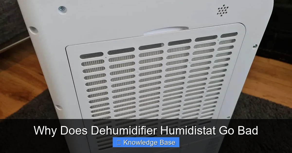Why Does Dehumidifier Humidistat Go Bad
