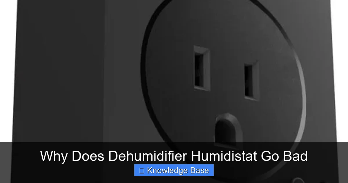 Why Does Dehumidifier Humidistat Go Bad