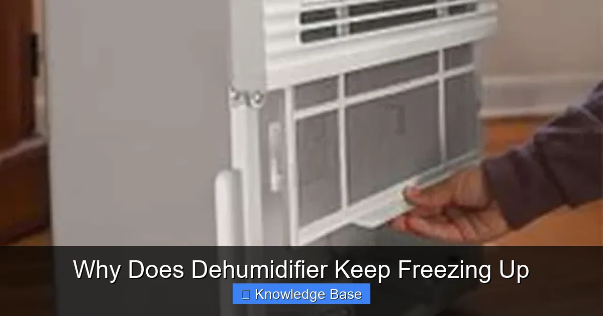 Why Does Dehumidifier Keep Freezing Up
