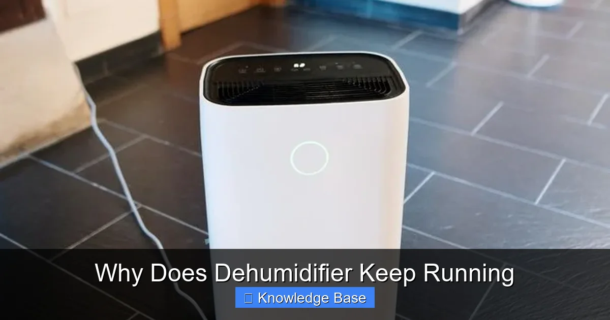 Why Does Dehumidifier Keep Running