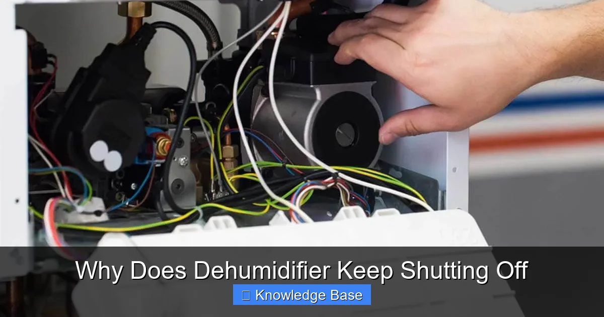 Why Does Dehumidifier Keep Shutting Off