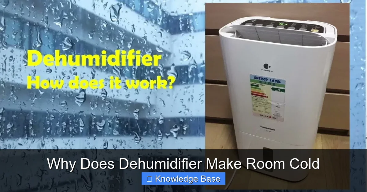 Why Does Dehumidifier Make Room Cold