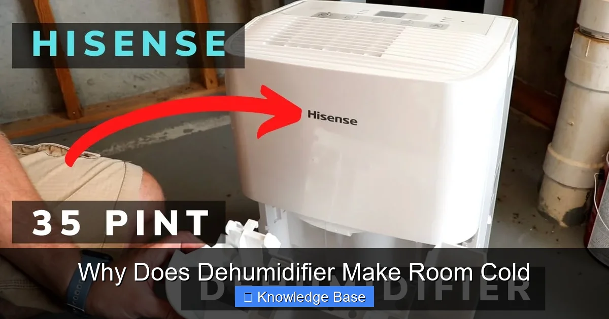 Why Does Dehumidifier Make Room Cold