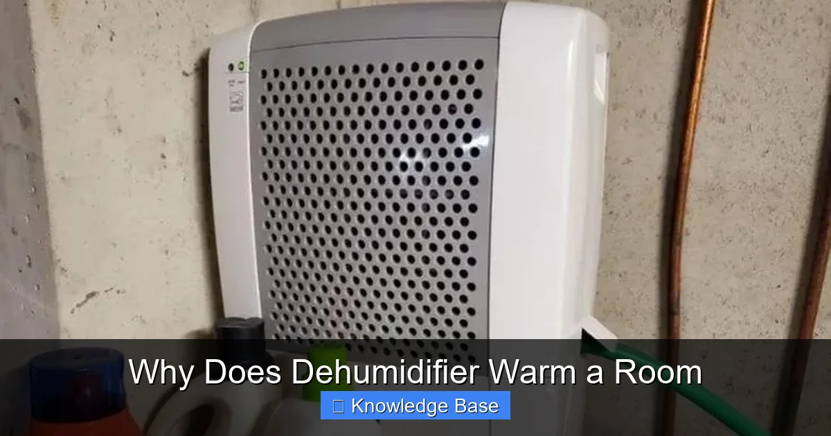 Why Does Dehumidifier Warm a Room