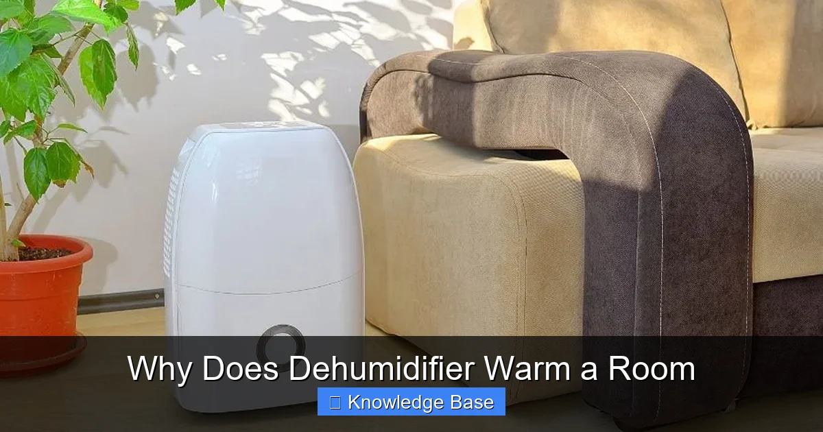 Why Does Dehumidifier Warm a Room
