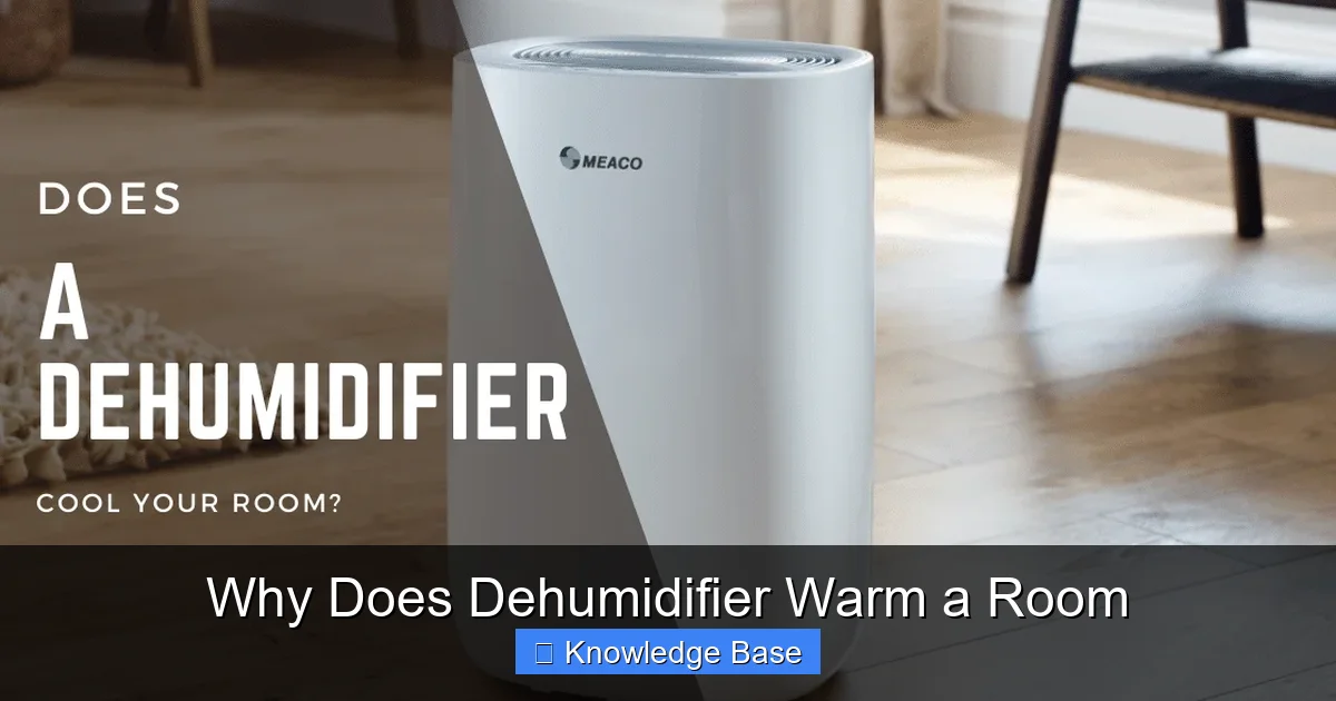 Why Does Dehumidifier Warm a Room
