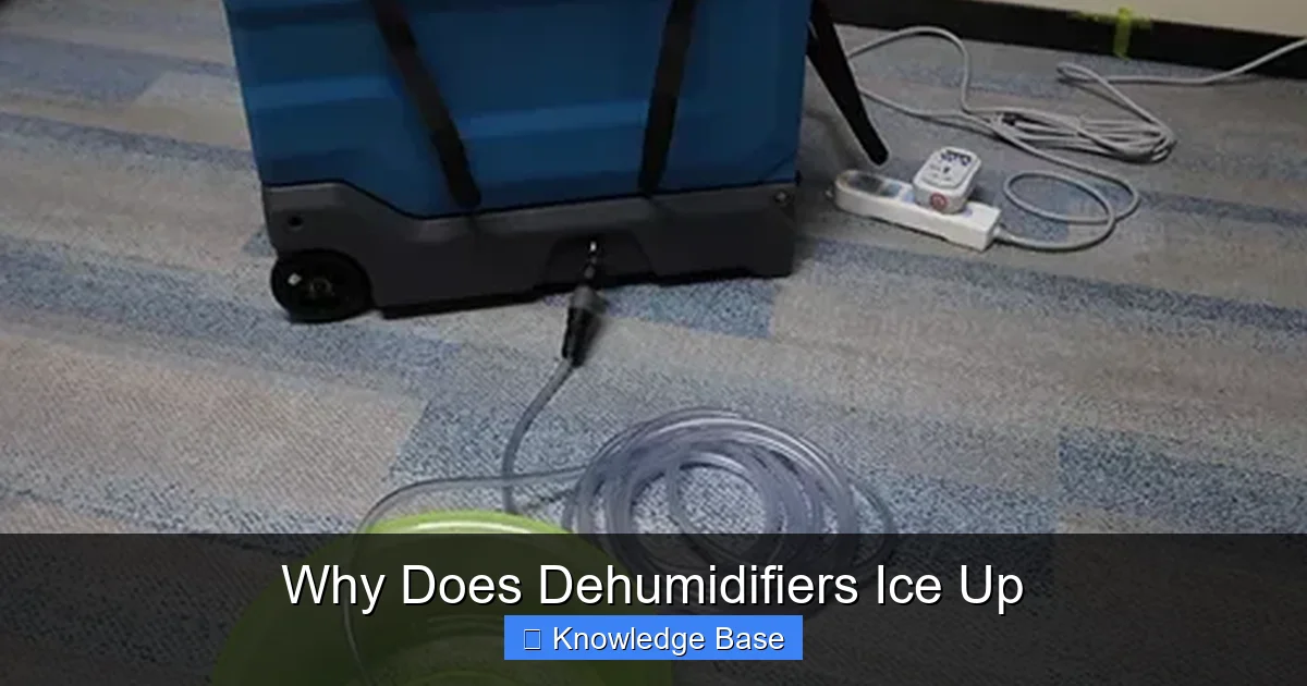 Why Does Dehumidifiers Ice Up