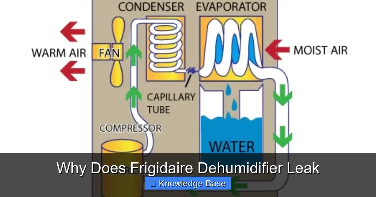 Why Does Frigidaire Dehumidifier Leak