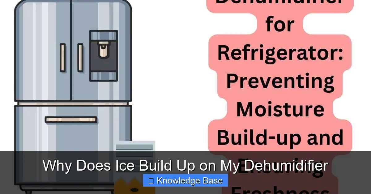 Why Does Ice Build Up on My Dehumidifier