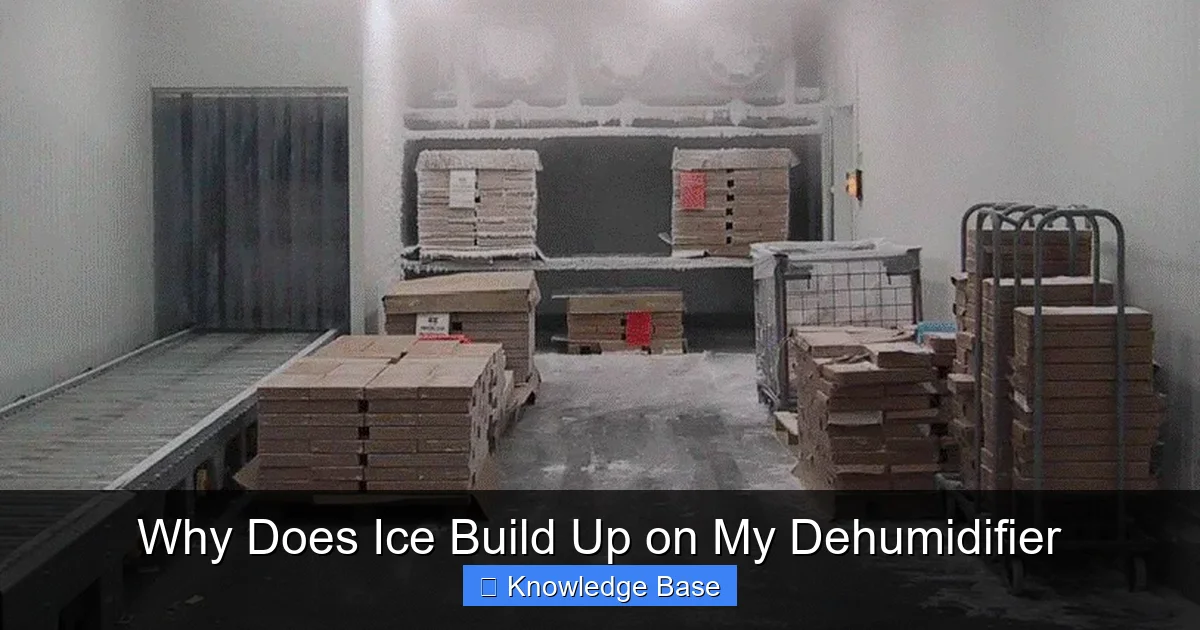 Why Does Ice Build Up on My Dehumidifier