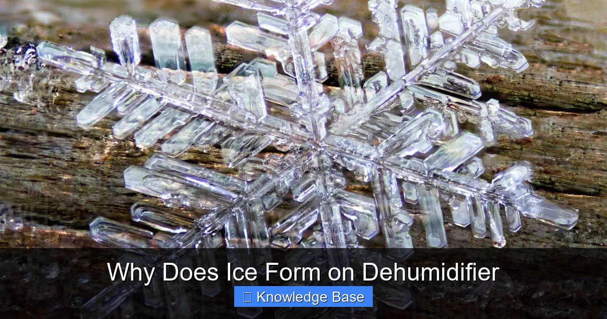 Why Does Ice Form on Dehumidifier