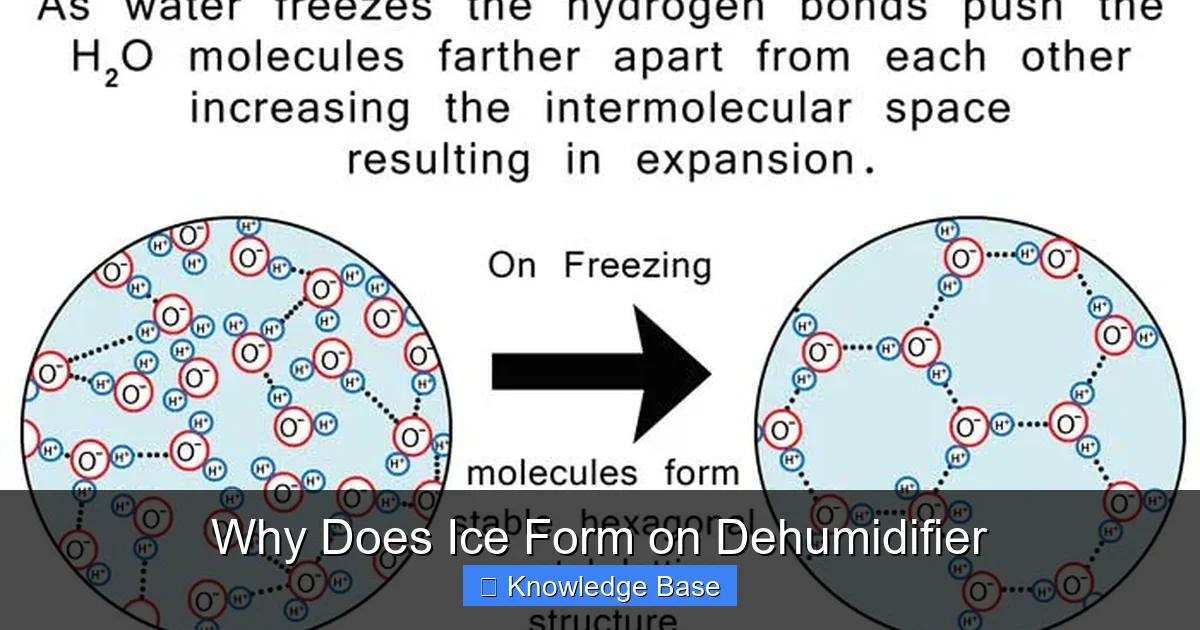 Why Does Ice Form on Dehumidifier