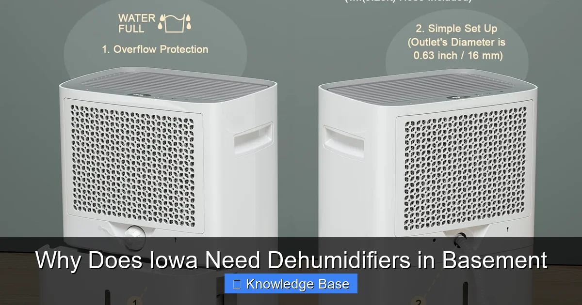 Why Does Iowa Need Dehumidifiers in Basement