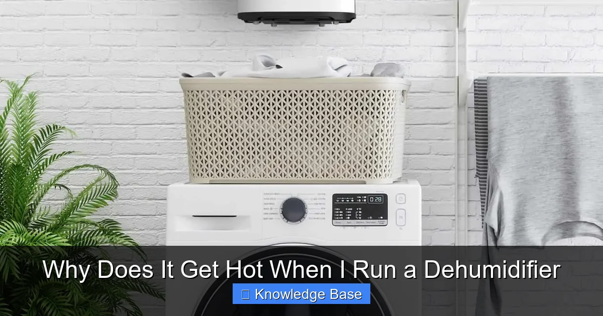 Why Does It Get Hot When I Run a Dehumidifier