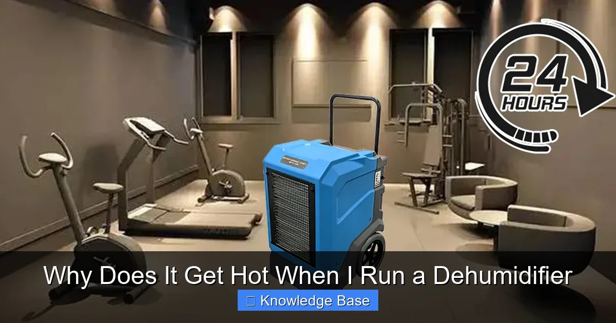 Why Does It Get Hot When I Run a Dehumidifier