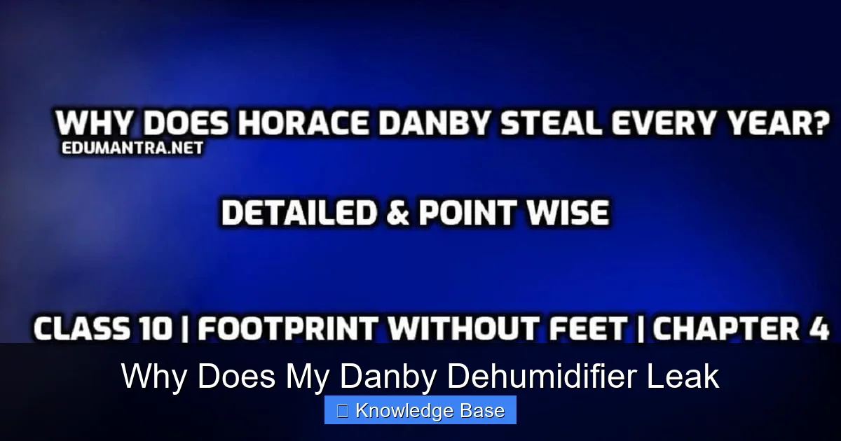 Why Does My Danby Dehumidifier Leak