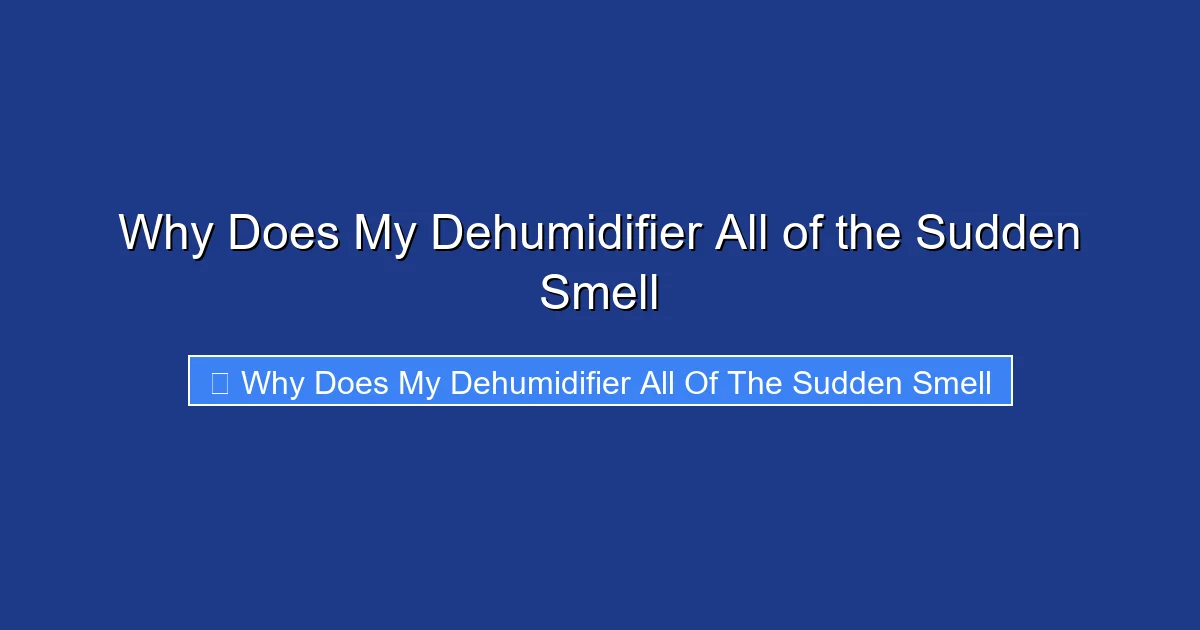 Why Does My Dehumidifier All of the Sudden Smell