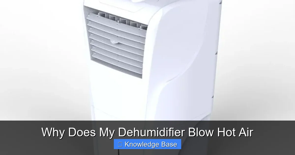 Why Does My Dehumidifier Blow Hot Air
