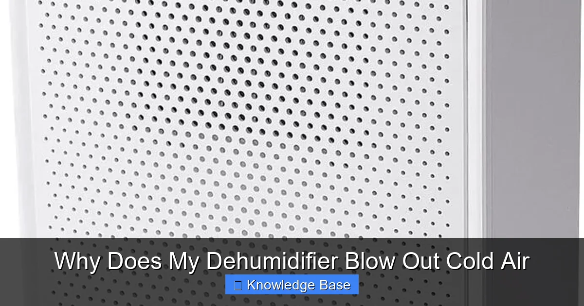 Why Does My Dehumidifier Blow Out Cold Air