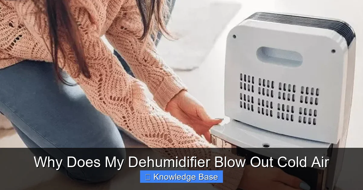 Why Does My Dehumidifier Blow Out Cold Air